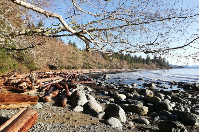 IMG_20191214_103741crsm